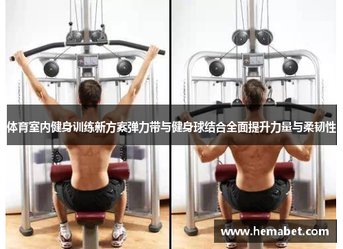 体育室内健身训练新方案弹力带与健身球结合全面提升力量与柔韧性